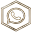 WhatsApp Icon